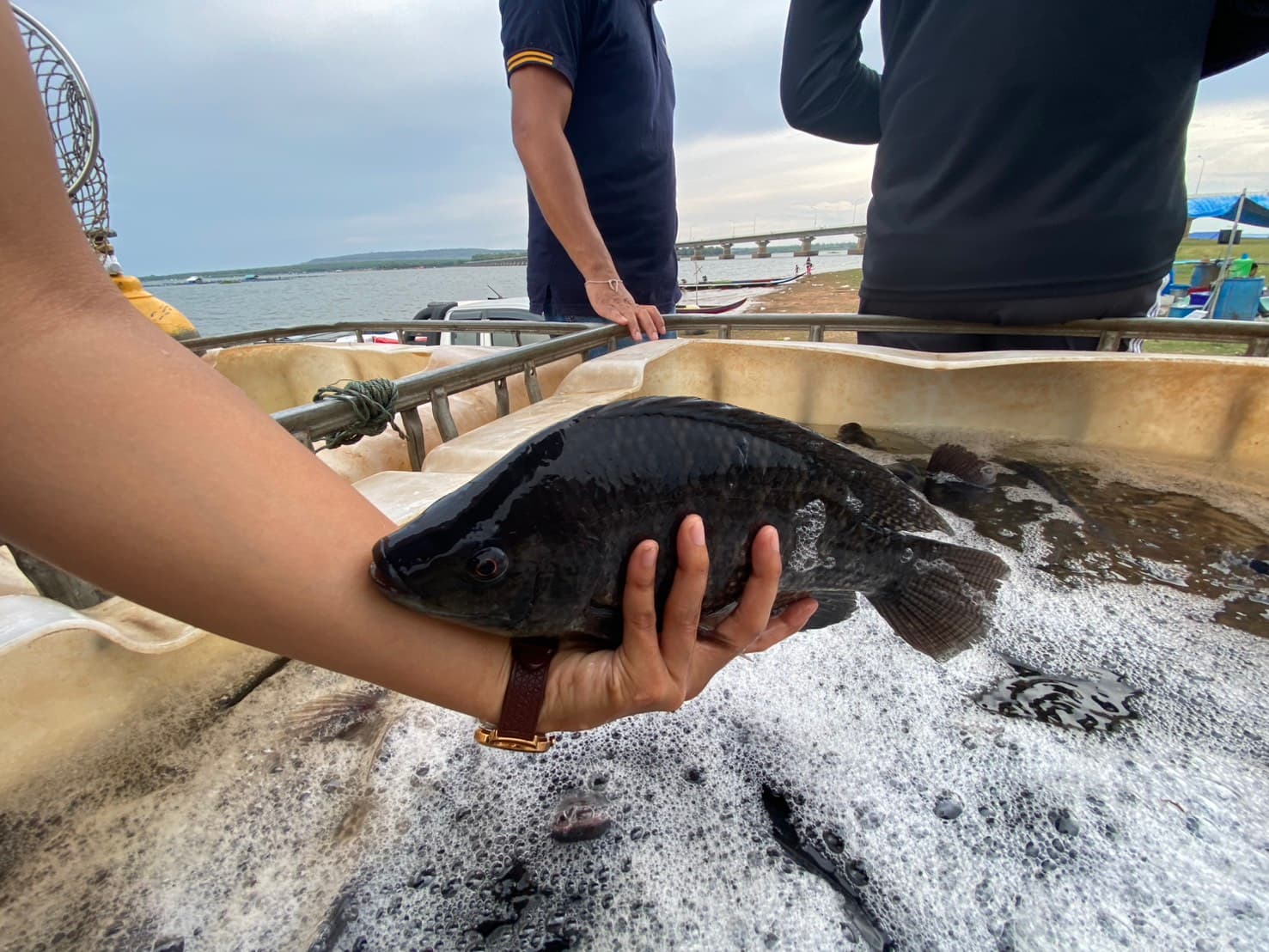 Aquaculture Solutions 5