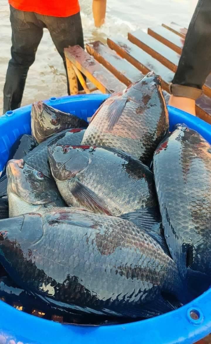 Aquaculture Solutions 2