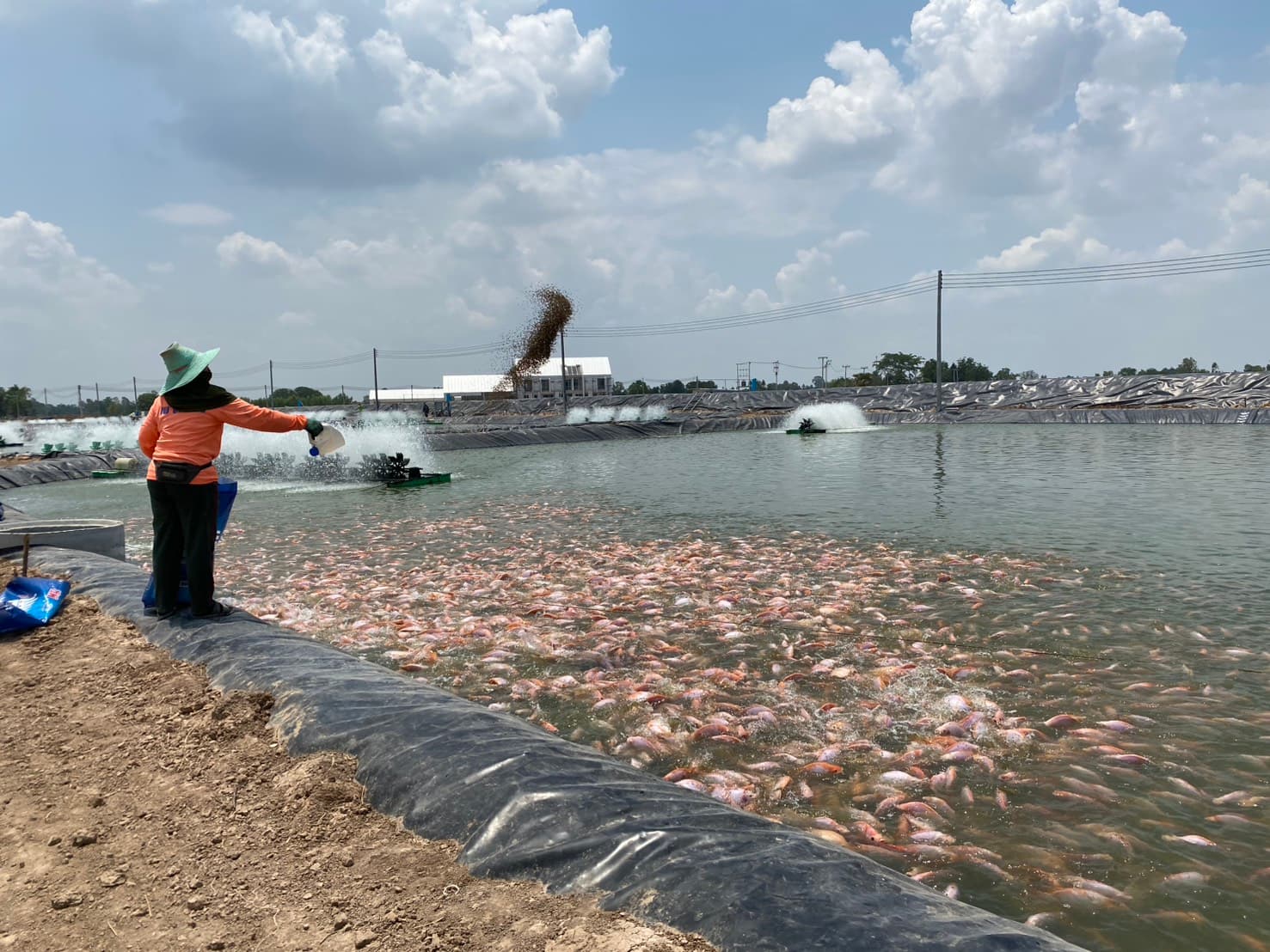 Aquaculture Solutions