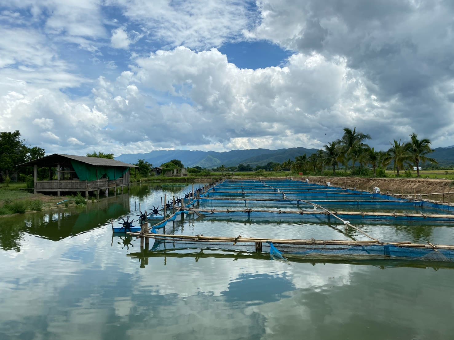 Aquaculture Solutions 4
