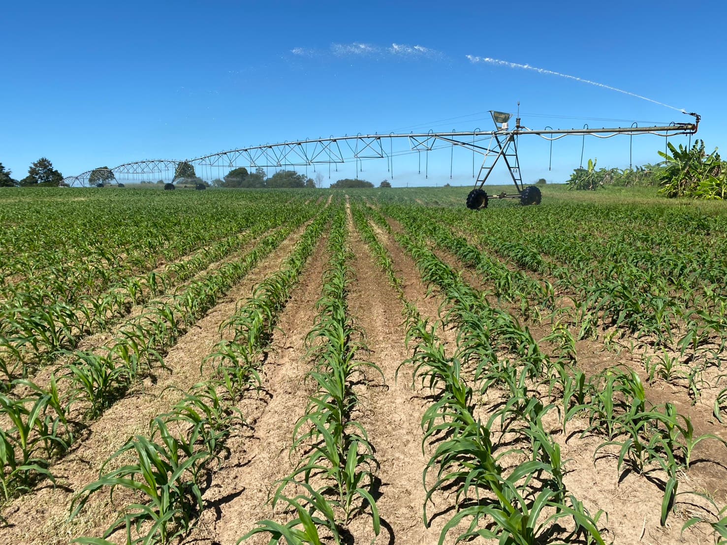 Agriculture and nature