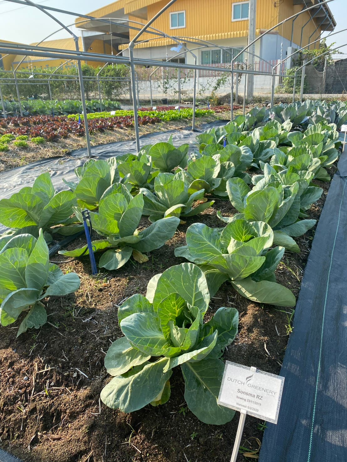 Plant and Soil Solutions 1