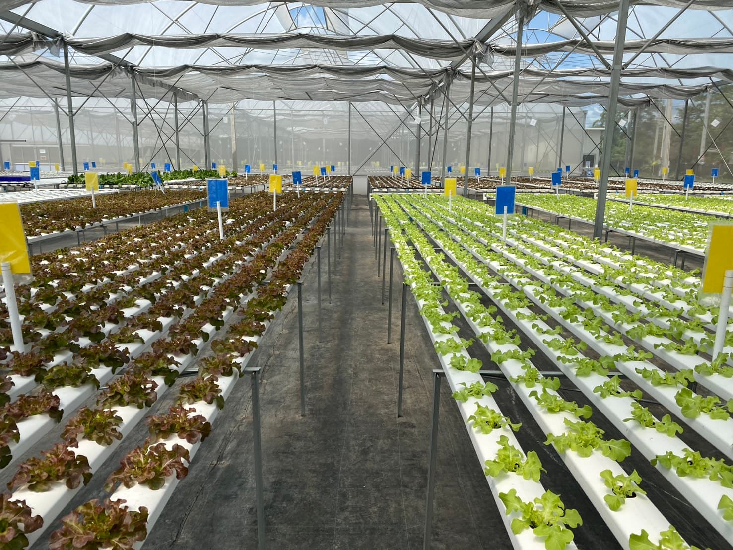 Plant and Soil Solutions 5